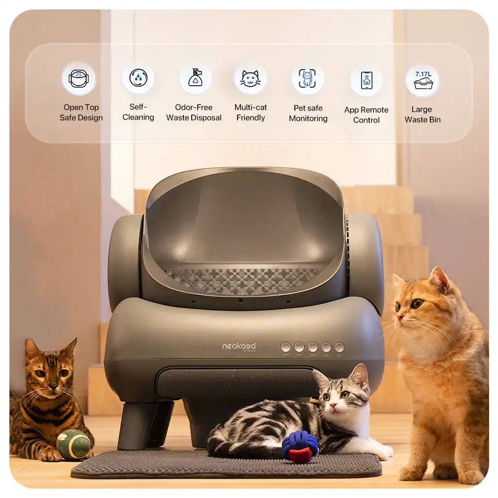 Neakasa M1 features - open top, self-cleaning, odor-free, multi-cat
